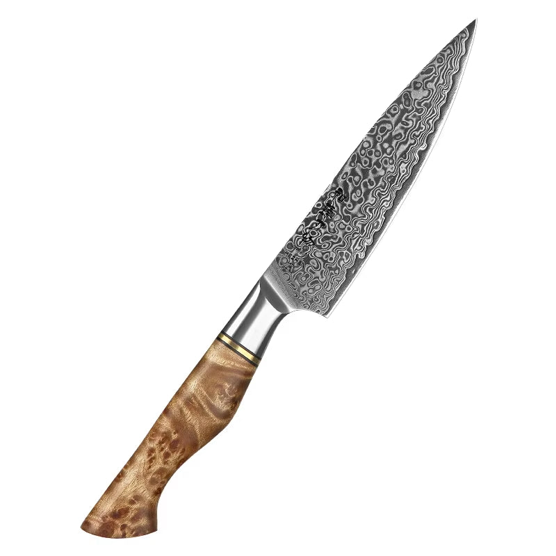 5 Inch Utility Knife Real 67 Layer Damascus Super Steel Super Cook Knife Pretty Peeling Knife Super Sharp Kitchen Knife